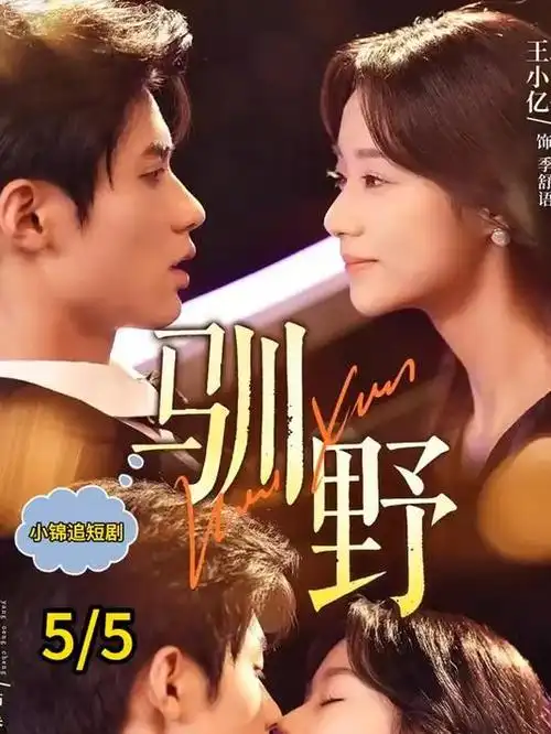 第十三层档案 刑侦电视剧全集在线观看